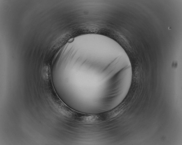 X0000088870122200706291549