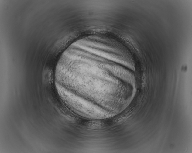 X0000088870123200706291549