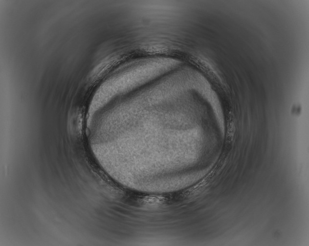X0000088870124200706291549