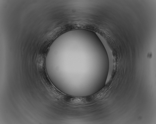 X0000088870129200706291549