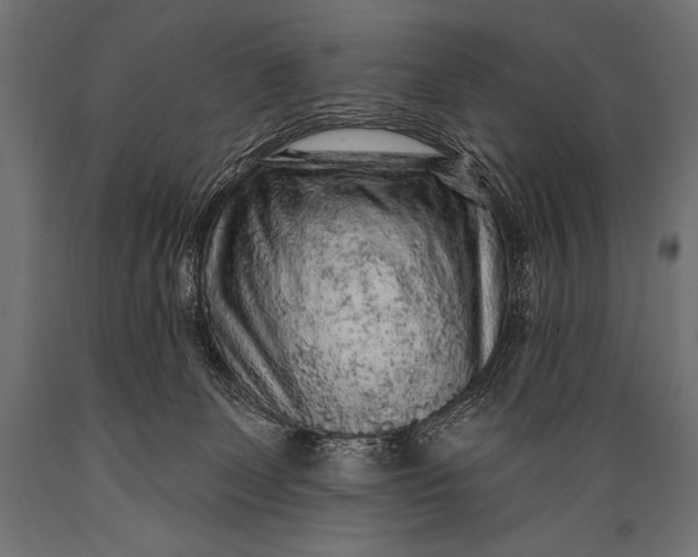 X0000088870131200706291549