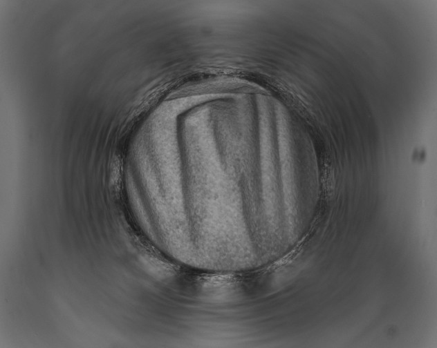 X0000088870132200706291549