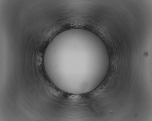X0000088870133200706291549