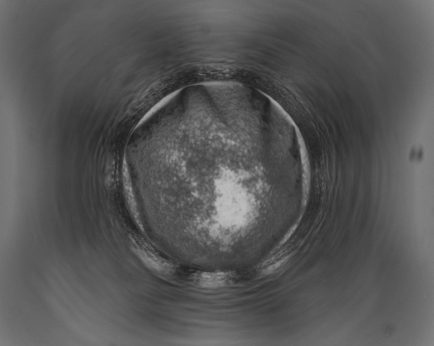 X0000088870134200706291549
