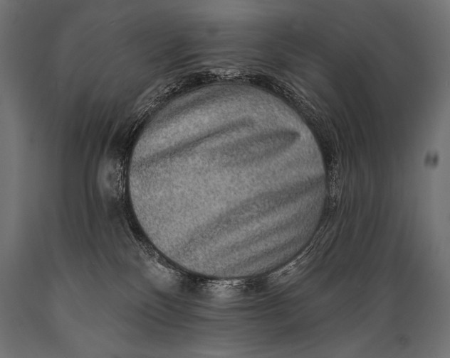 X0000088870136200706291549