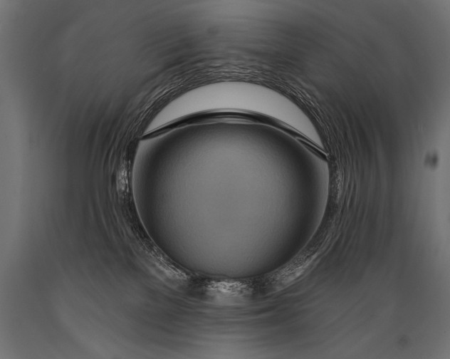 X0000088870137200706291549