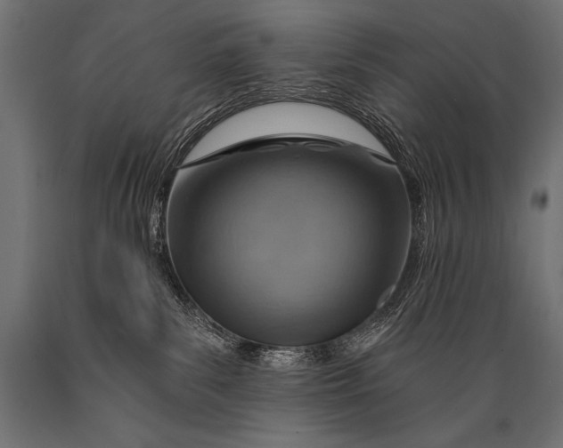 X0000088870139200706291549
