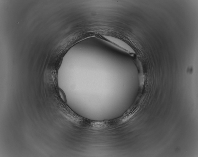X0000088870141200706291549