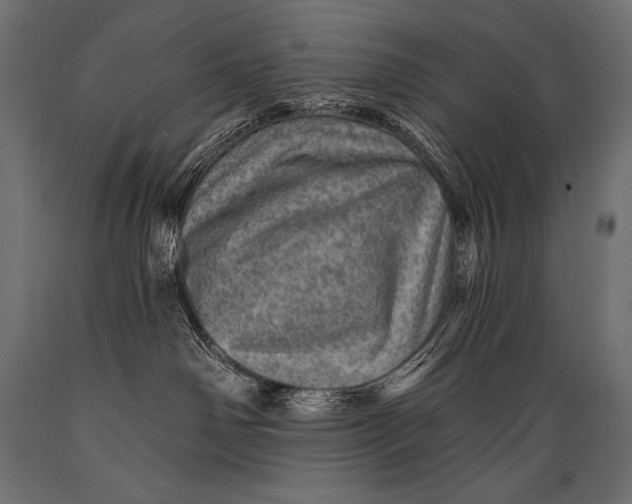 X0000088870142200706291549