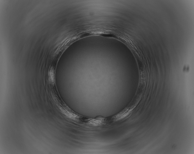 X0000088870143200706291549