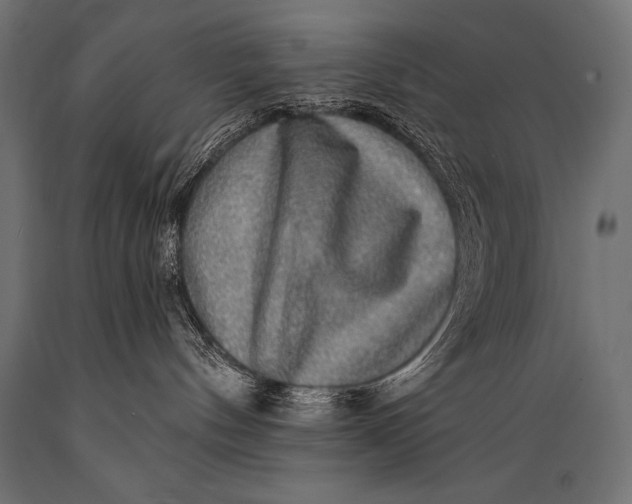 X0000088870144200706291549