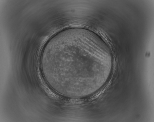 X0000088870145200706291548