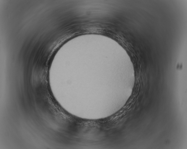 X0000088870146200706291548