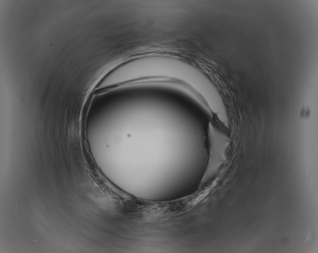 X0000088870148200706291548