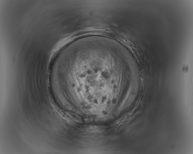 X0000088870149200706291548