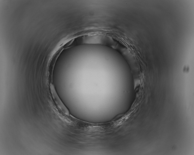 X0000088870150200706291548