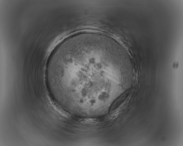 X0000088870151200706291548