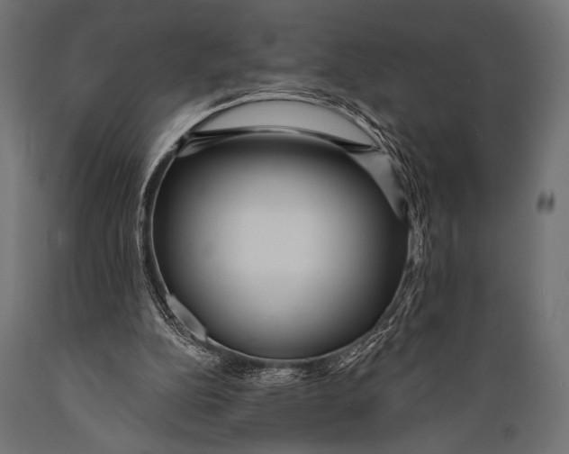 X0000088870152200706291548