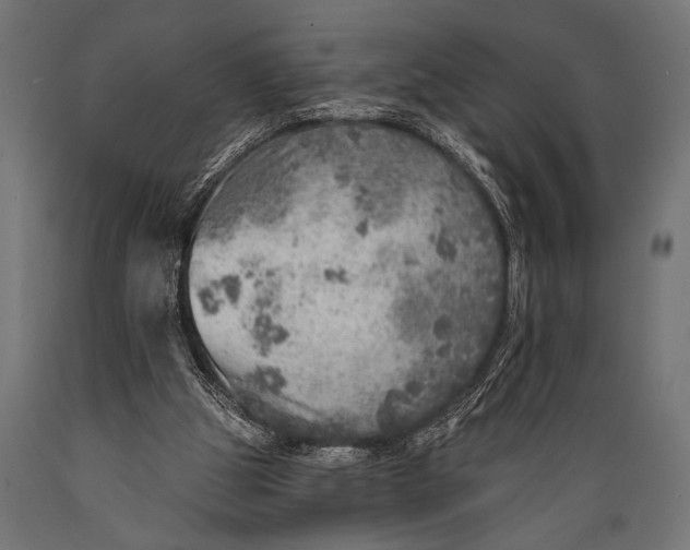 X0000088870153200706291548