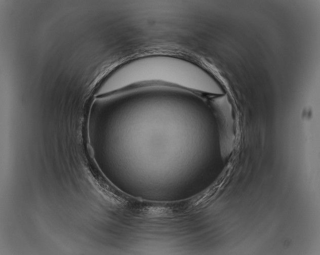 X0000088870154200706291548