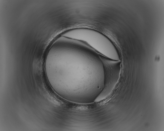 X0000088870156200706291548