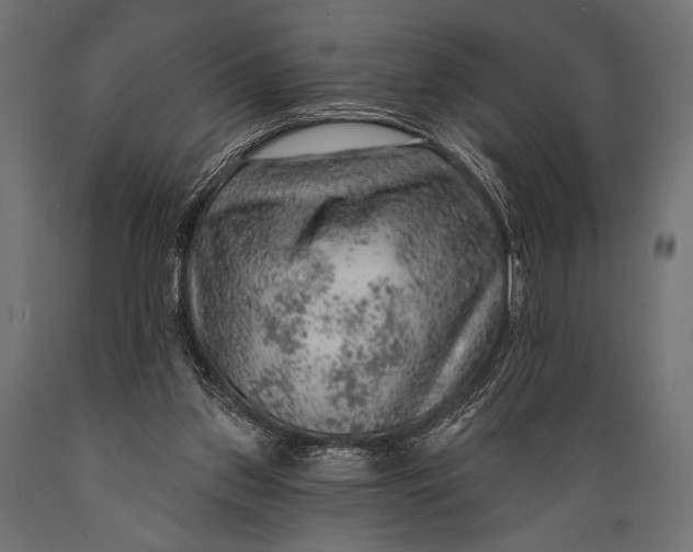 X0000088870157200706291548