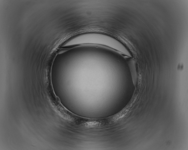 X0000088870158200706291548