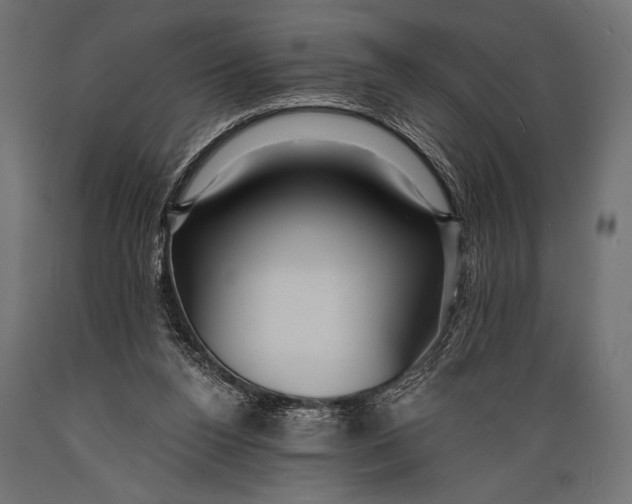 X0000088870160200706291548