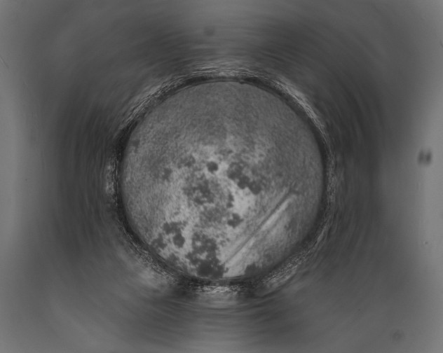 X0000088870161200706291548