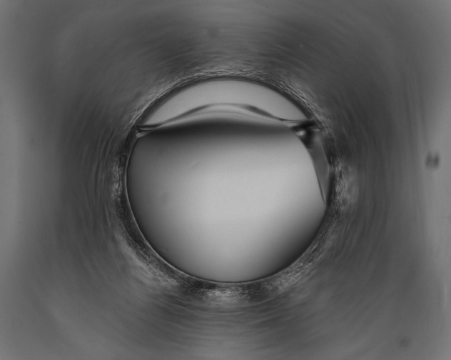 X0000088870164200706291548