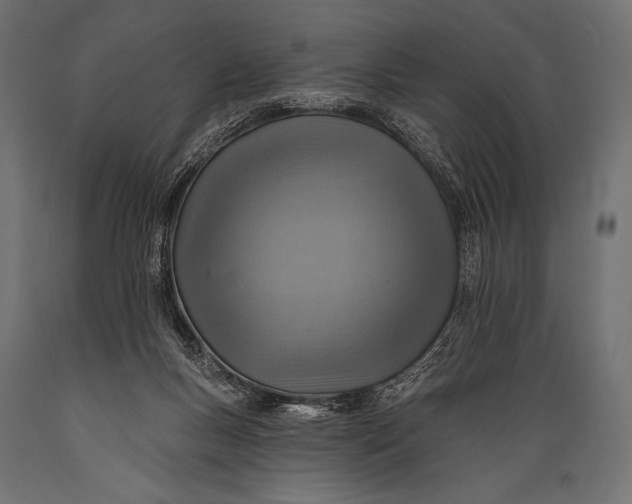 X0000088870167200706291548