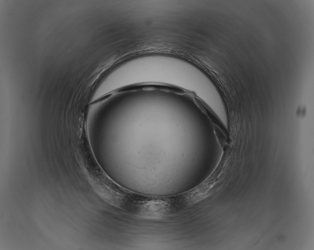X0000088870168200706291548