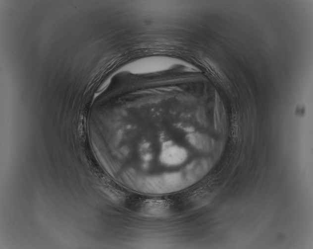 X0000088870169200706291548