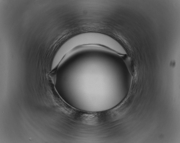 X0000088870170200706291548