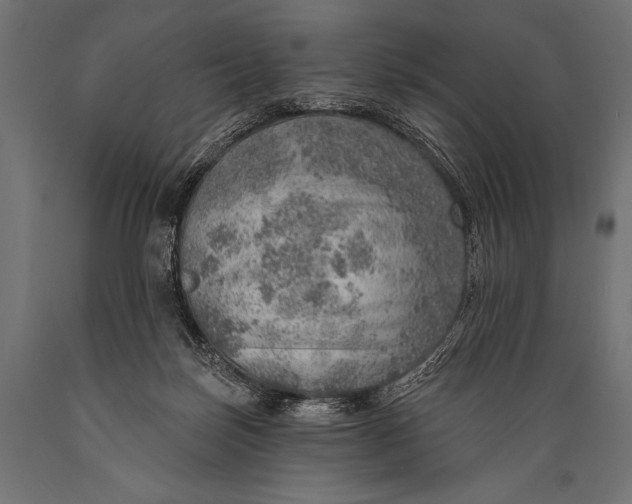 X0000088870171200706291548