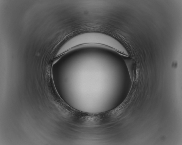 X0000088870172200706291548