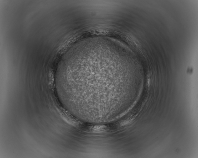 X0000088870173200706291548