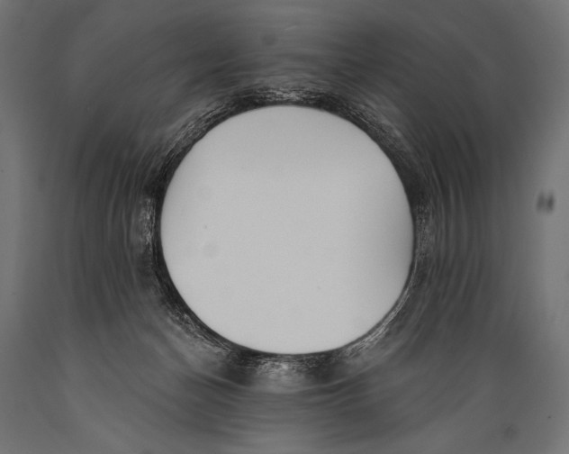X0000088870174200706291548