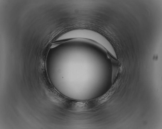 X0000088870176200706291549