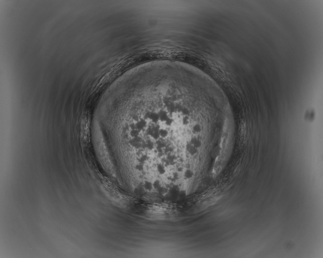 X0000088870177200706291549