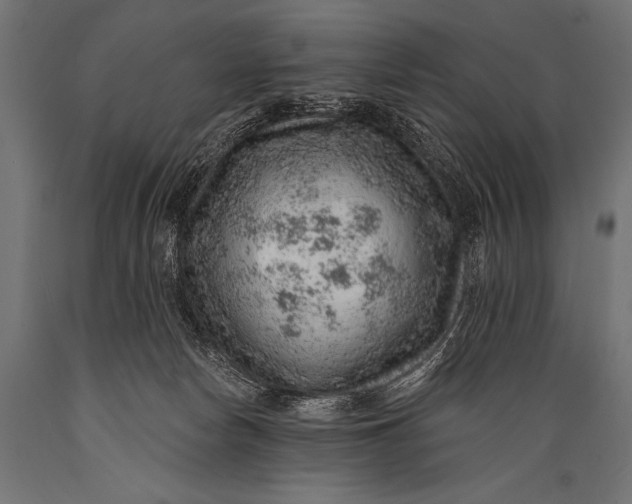 X0000088870178200706291549