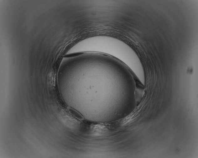 X0000088870180200706291549