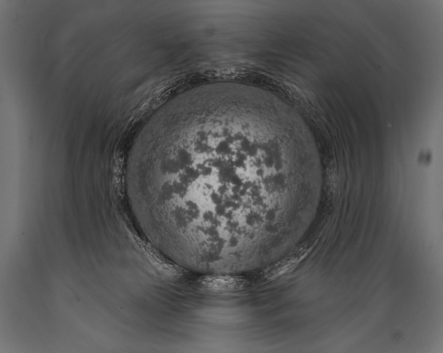 X0000088870181200706291549