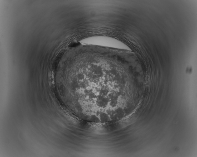 X0000088870182200706291549
