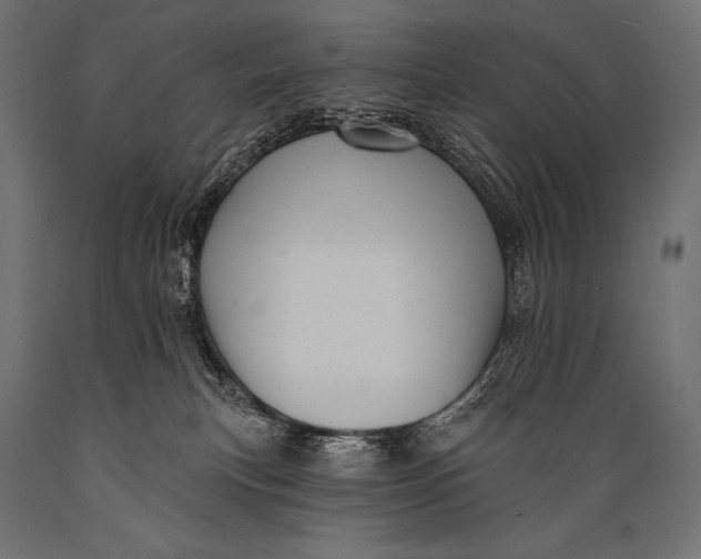X0000088870183200706291549