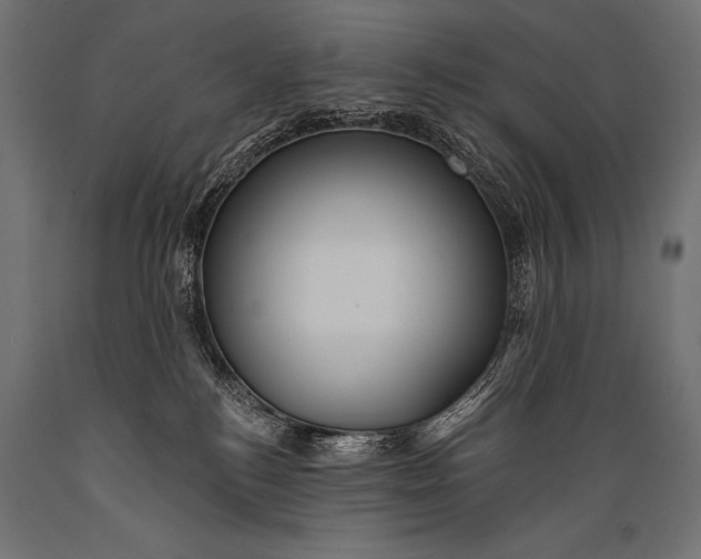 X0000088870184200706291549