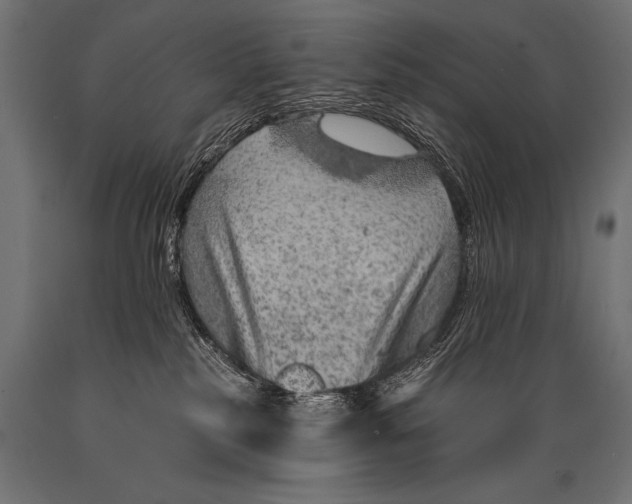 X0000088870185200706291549