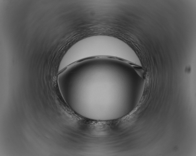 X0000088870186200706291549
