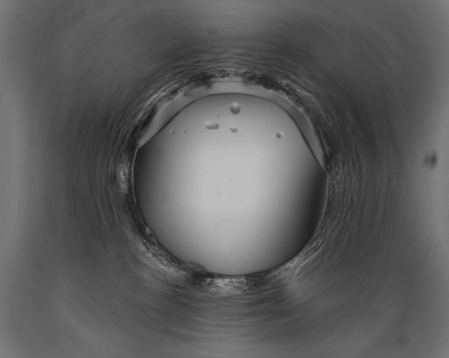 X0000088870188200706291549
