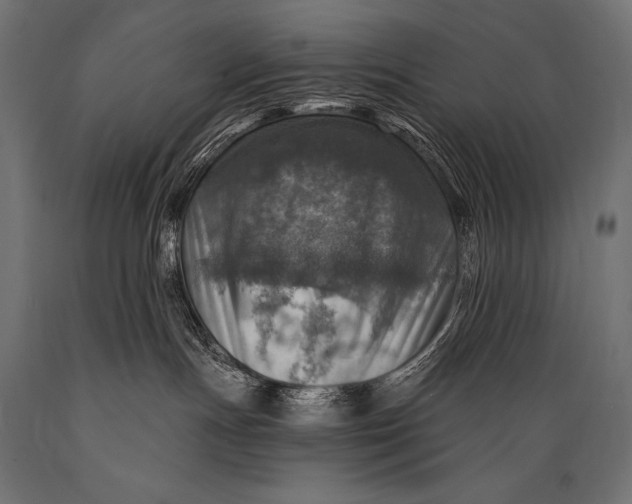 X0000088870191200706291549